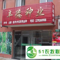 豐德種業(yè)供應**：西紅柿種子，辣椒種子，黃瓜種子