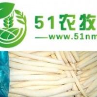種子批發(fā)、 國(guó)產(chǎn)蘆筍種子 蘆筍種苗