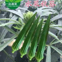 日本細(xì)長(zhǎng)水果秋葵種子