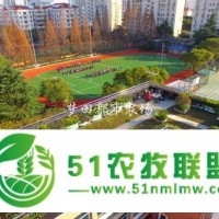 四川成都學(xué)校屋頂農(nóng)場(chǎng)設(shè)計(jì)施工公司尚鼎豐夢(mèng)田都市農(nóng)場(chǎng)*用心