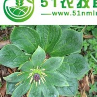 中藥材奇草薈重樓種植**求進(jìn)