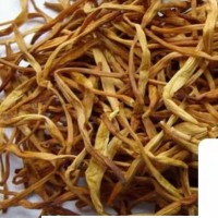 泰安黃花菜種苗 萱草種苗