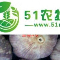 大蒜種子