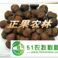 *供應新產(chǎn)**油桐種子