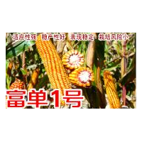 齊齊哈爾種子化肥價(jià)格，選