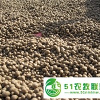 有供應(yīng)山藥豆的請找昌樂縣金誠合作社