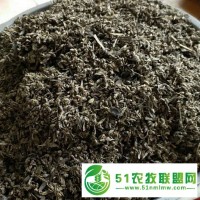 湖北蘄春 蘄艾草種子艾草艾苗艾根種植批發(fā) 艾葉質(zhì)量優(yōu) 發(fā)芽率高