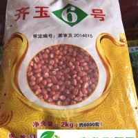 齊玉6號(hào)的產(chǎn)量表現(xiàn)與栽培要點(diǎn)_齊齊哈爾富?？h當(dāng)?shù)赜衩追N子供應(yīng)