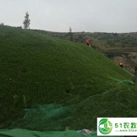 大量供應礦山生態(tài)修復植被毯