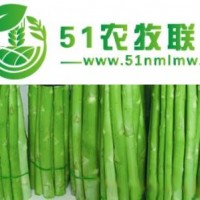 **進(jìn)口蘆筍種子價(jià)格