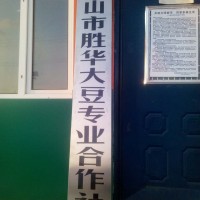 黑龍江大豆種植選哪家 密山大豆種植合作社哪家靠譜