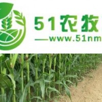 農(nóng)作物、果樹、綠化樹的種植與銷售