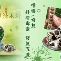 鵬婕云南pkm1 **）辣木籽*養(yǎng)生食品