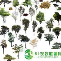 哈爾濱垂榆有賣(mài)的