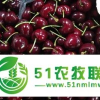 智利車厘子進口需要什么報關(guān)