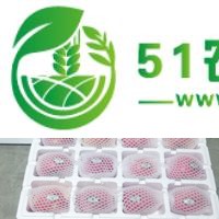 寧夏弘興達果業(yè)供應香麓蘋果