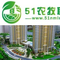 常州柴油機(jī)模型哪家正規(guī)，受到客戶信任