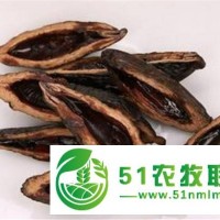 湘豐源檳榔是創(chuàng)業(yè) 的不錯選擇 環(huán)保綠色