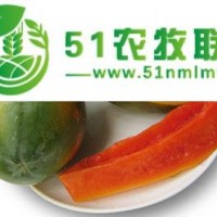 果園直發(fā) 海南紅心木瓜5/9斤 果園現(xiàn)摘**汁多味甜青皮木瓜 新鮮水果代發(fā)