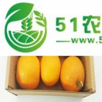 蜀地生態(tài)園拼團活動正火熱進行