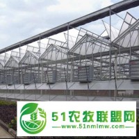 溫室大棚冬季保溫的十點訣竅