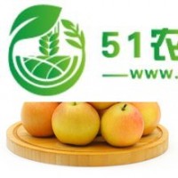 南果梨 正中南果梨 東北南果梨 特產(chǎn)南果梨 鞍山南果梨 遼寧南果梨 富硒南果梨 不打農(nóng)藥南果梨 代購代銷南果梨 批發(fā)南果梨 紅南果梨 南果梨禮盒 綠色南果梨 **南果梨 南果梨價格
