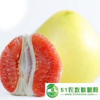 福建平和琯溪紅肉蜜柚產(chǎn)地直批