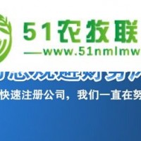 銅川印臺(tái)區(qū)工商代理 外資代理記賬
