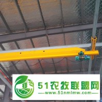 寶雞岐山縣歐式雙梁起重機，單雙梁起重機生產(chǎn)廠家