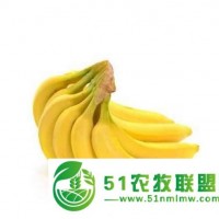 廣東越南香蕉供應