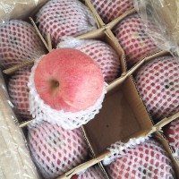 陜西冷庫(kù)紅富士洛川蘋果出庫(kù)價(jià)格