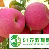 營養(yǎng)自然甜，蘋果要添鮮