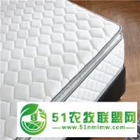 海南記憶棉床墊廠家-盧喬斯-購(gòu)享實(shí)惠-大眾共同選擇