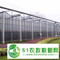 搭建溫室大棚應注意哪些問題精誠一聚，和合雙贏