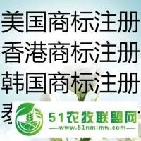 上海注銷外資公司歡迎點(diǎn)擊圖片了解