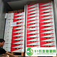 廣州江南水果交易市場**供應(yīng)一手貨源進(jìn)口水果葡萄柚南非西柚原箱30斤批發(fā)