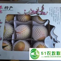 奉化水蜜桃自駕采摘 去 奉化王家桃園 歡迎您！