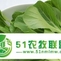 **速凍食材批發(fā)蔬菜批發(fā)大朗蔬菜配送