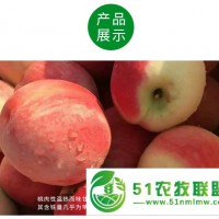 農(nóng)場** 山東蜜桃 5斤凈果裝 現(xiàn)摘現(xiàn)發(fā) 40包郵到家