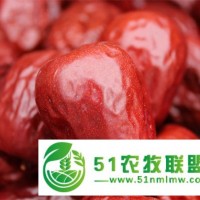 2020年新疆和田大棗批發(fā)價(jià)格