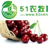 水果報(bào)關(guān)行，深圳水果清關(guān)，深圳報(bào)關(guān)水果