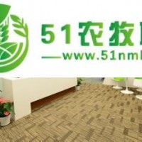 泰國凍榴蓮進口清關上海哪家公司可以做