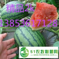 山東西瓜 濰坊早春紅玉西瓜批發(fā)