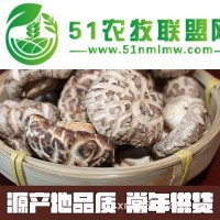 西峽香菇