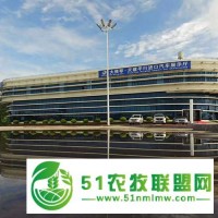 珠海婚慶公司價格 度高的團隊是哪家 歡迎大神來擾