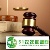 東坑正規(guī)濟(jì)糾紛辯護(hù)律師*季價格