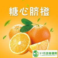 富川臍橙10斤重果大汁多