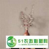 綠芙萊墻基布直接就是軟裝的效果歡迎來擾