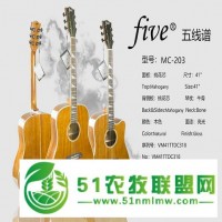 浙江單板尤克里里廠家，技術(shù)成員之一得到了一致**