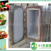 櫻桃、草莓等速凍水果速凍機(jī)